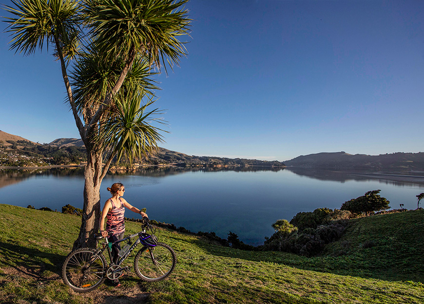 cycle the otago peninsula