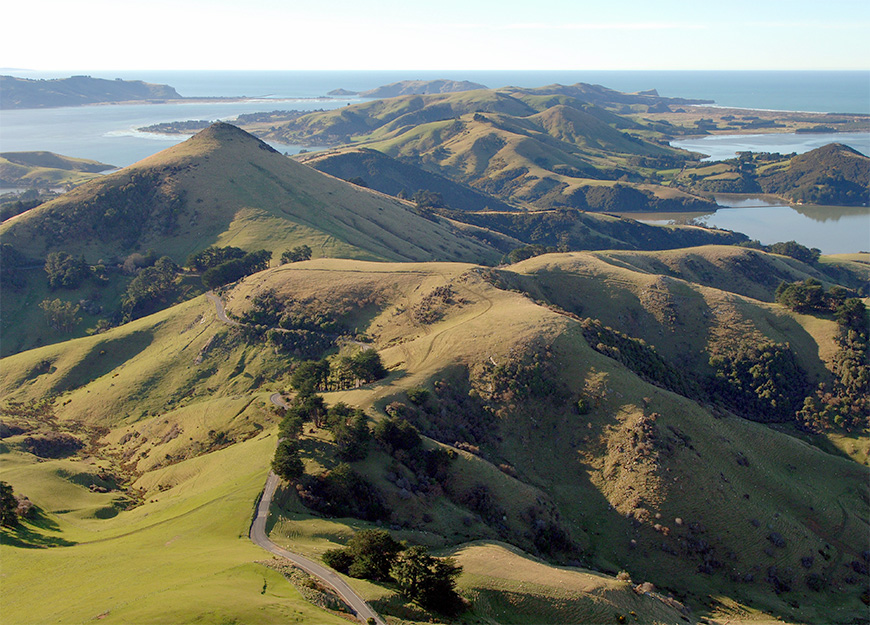 cycling otago harbour