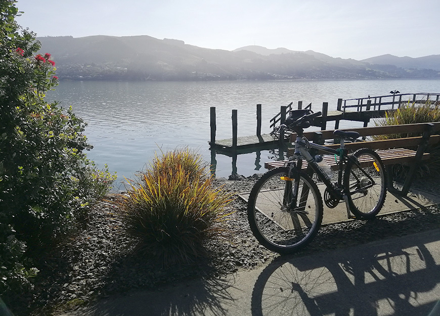 cycle otago peninsula